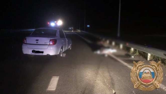 На трассе Уфа-Оренбург в столкновении с лосем погиб пассажир легковушки