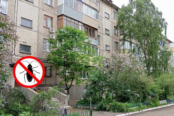 Что делать, если появились тараканы в многоквартирном доме?
