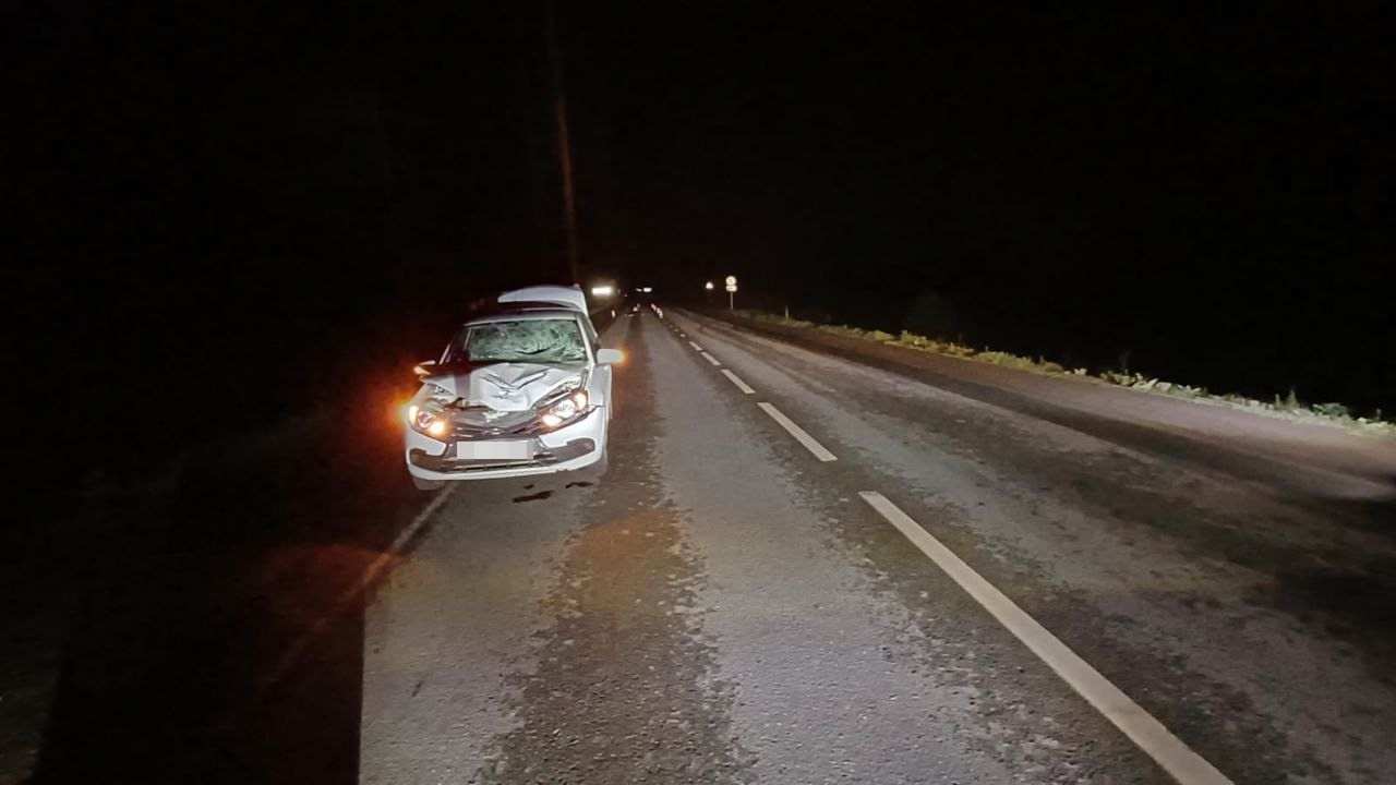В Новоорском районе погиб пешеход