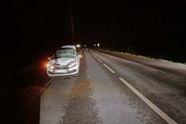 В Новоорском районе погиб пешеход