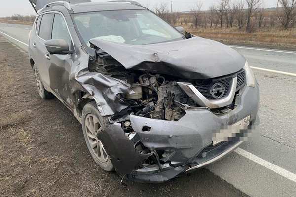 В Новоорском районе водитель Ниссан сбил лося 