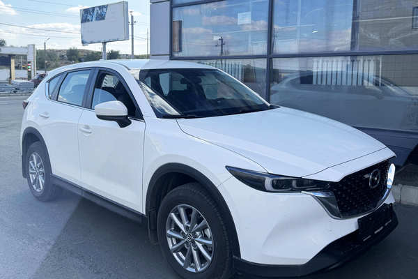Чехлы и накидки на китайские автомобили