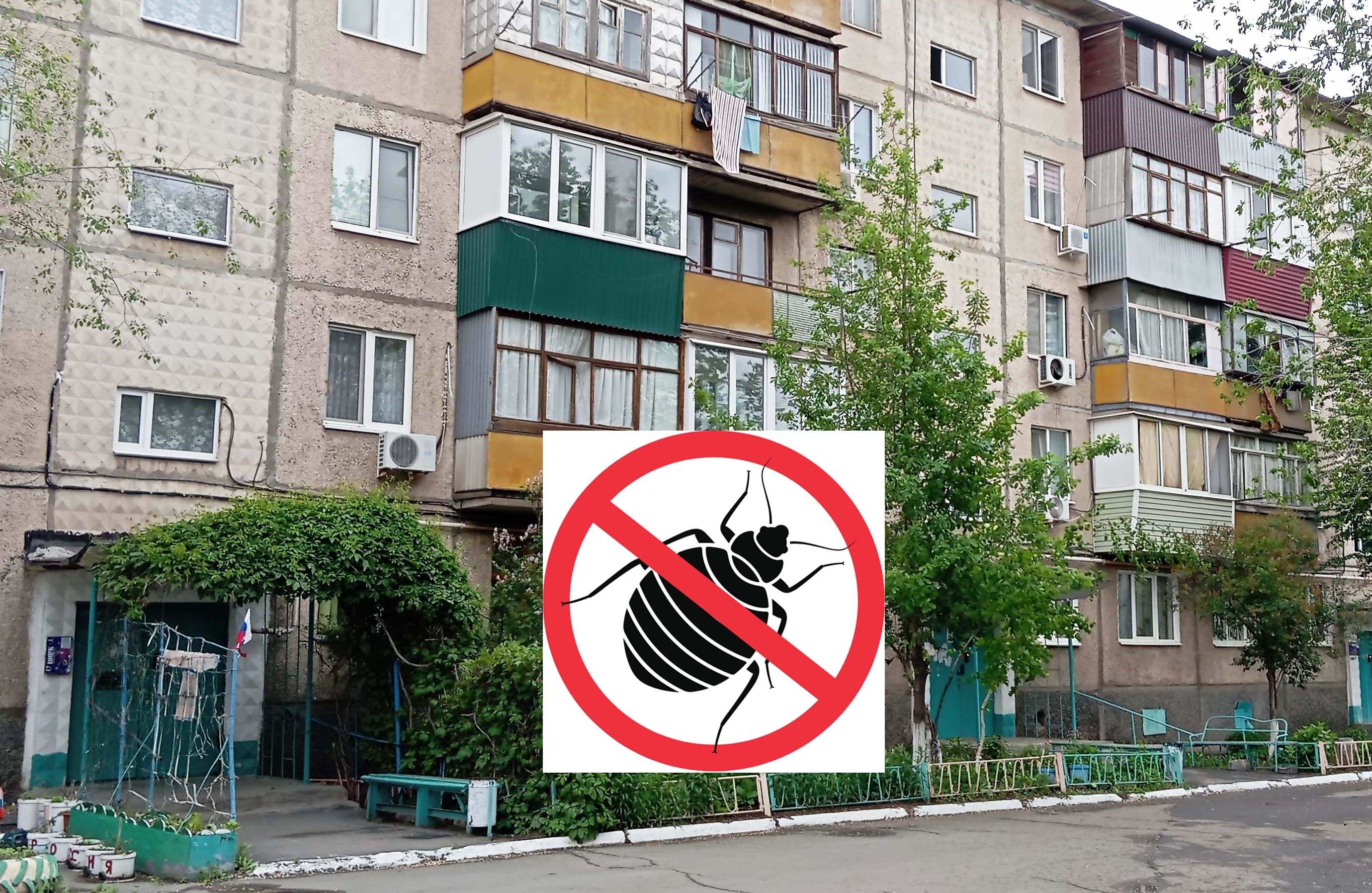 Как понять, что в квартире клопы?