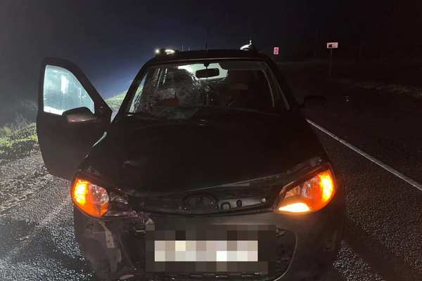 В Оренбуржье водитель «Лады Калины» сбил человека, находящегося на проезжей части
