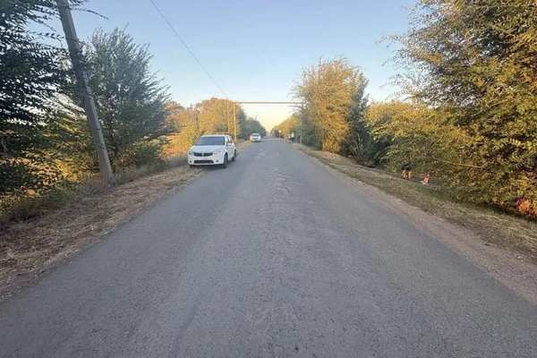 В Оренбургском районе водитель иномарки сбил пенсионерку 