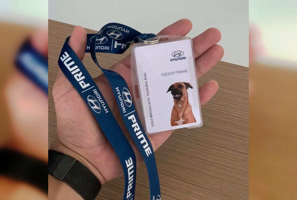 Дилерский центр Hyundai нанял собаку в качестве продавца-консультанта