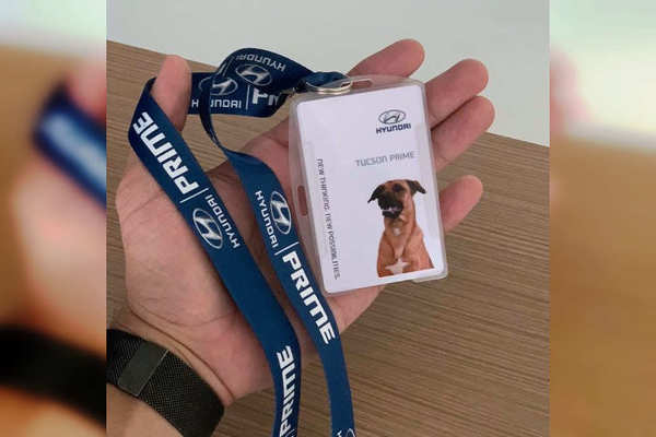 Дилерский центр Hyundai нанял собаку в качестве продавца-консультанта