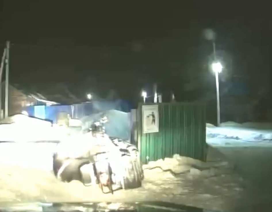 В Бугуруслане пьяный водитель снегохода пытался скрыться от автоинспекторов