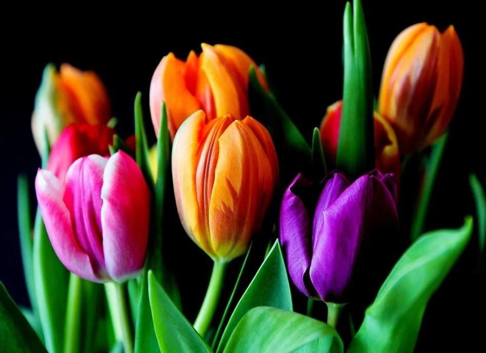 Как правильно выбрать цветы к 8 марта?