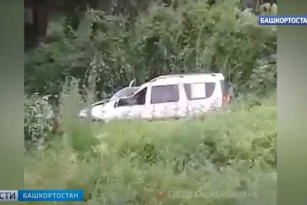 Водитель из Оренбуржья погиб после столкновения с лосем