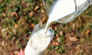 Молоко не всегда полезно для здоровья