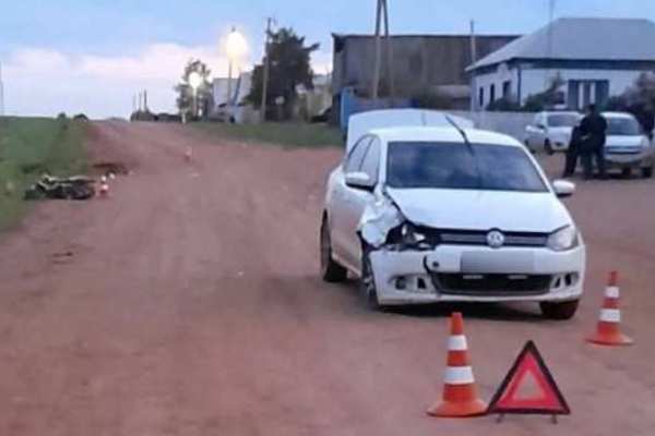 В Илекском районе водитель иномарки насмерть сбил двух детей