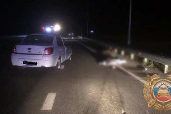 На трассе Уфа-Оренбург в столкновении с лосем погиб пассажир легковушки