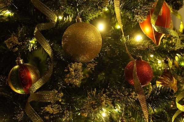 Секрет долгожительства новогодней елки