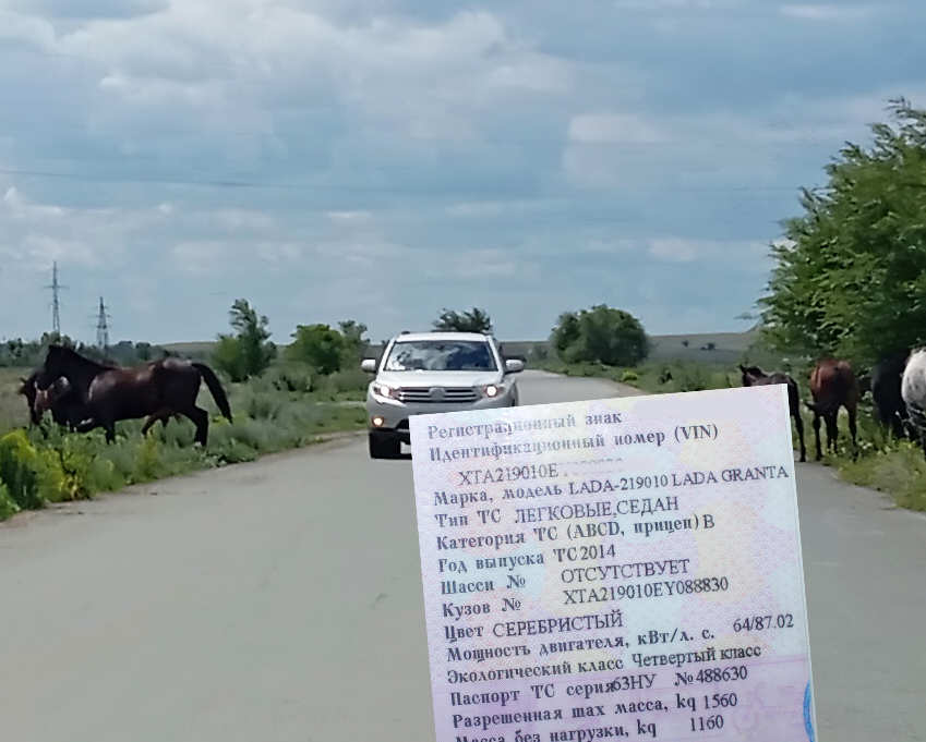 Почему мощность двигателей измеряют в л. с.?