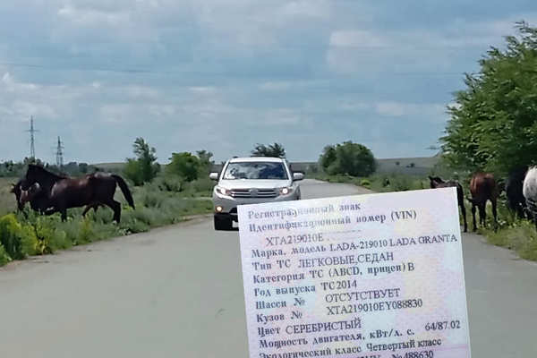 Почему мощность двигателей измеряют в л. с.?