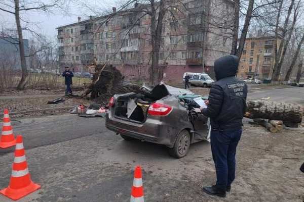 В Новокузнецке упавшее дерево раздавило автомобиль вместе с людьми в салоне