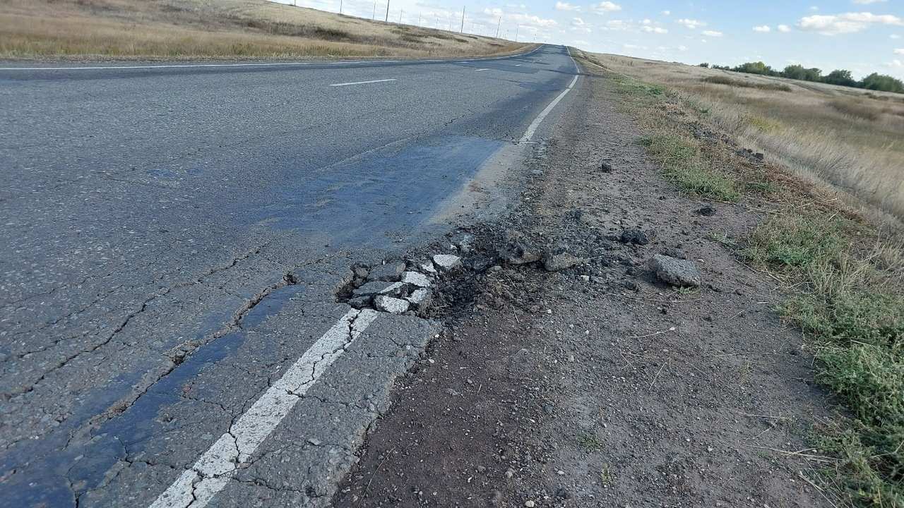 Внезапно появившийся на дороге табун лошадей повредил автомобиль жителя Орска