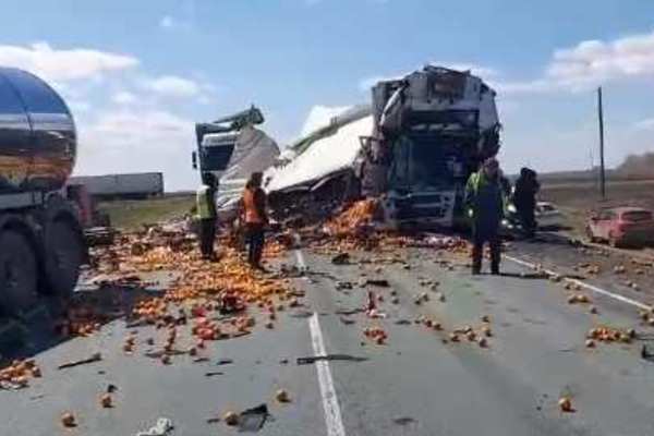 Трассу в Тюменской области засыпало фруктами после столкновения грузовых фур