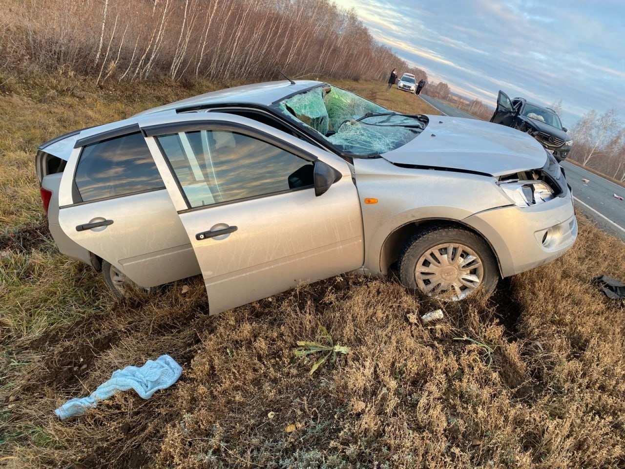 Водитель «Лады» сбил двух человек, вышедших на дорогу осмотреть сбитую косулю