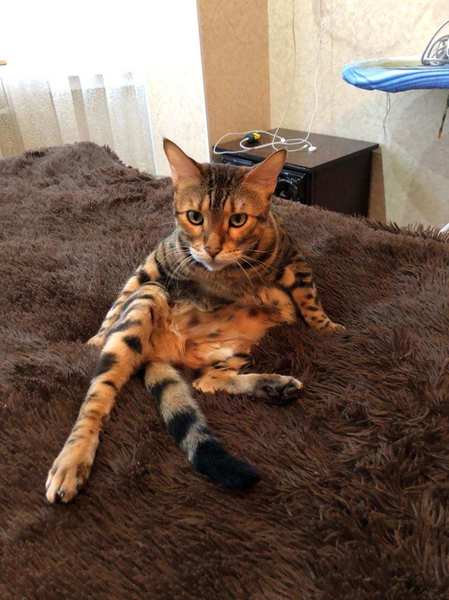 Full big thumb 219ff479 6168 4faa a571 21fdf5cd0d04