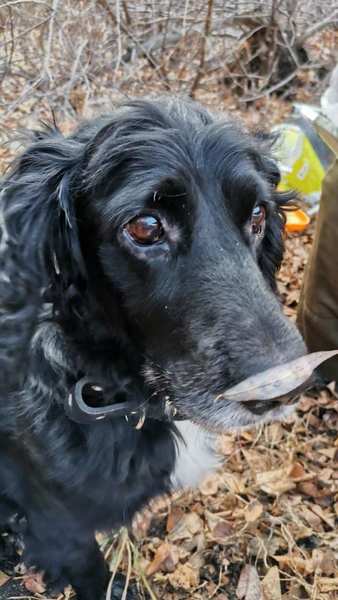 Full big thumb screenshot 20210215 175623 gallery