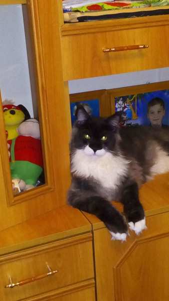 Full big thumb img 20191220 210943