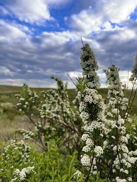 Full big thumb img 2013