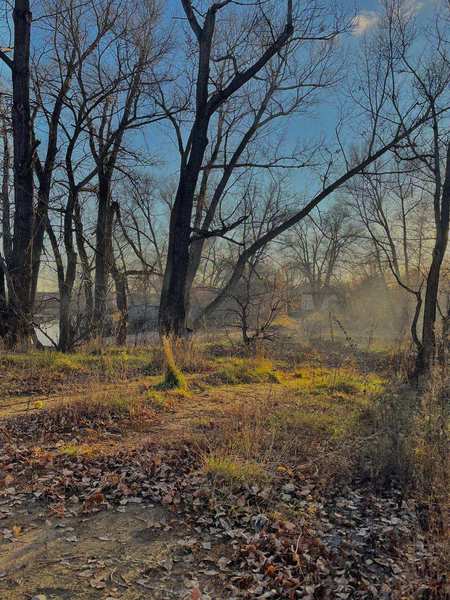 Full big thumb img 3899