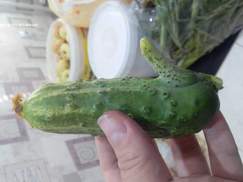 Full big thumb 20190807 191718