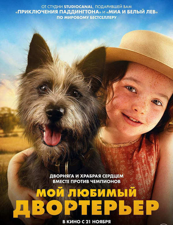 Мой любимый двортерьер