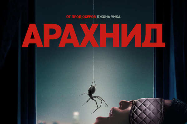 Арахнид
